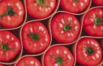 Lycopene