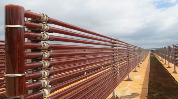 Ποια είναι η επίδραση του Astaxanthin στο Covid-19; (II)